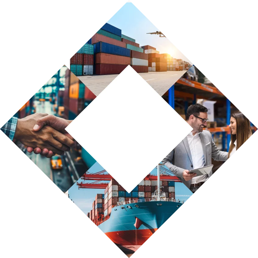 Comercio Exterior y Regulatorio